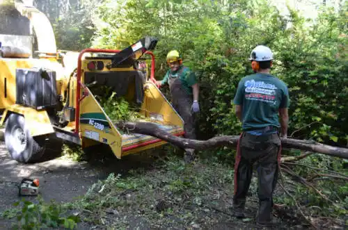 tree services Orofino